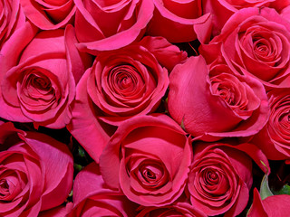 Flowers background. Close up.