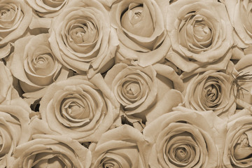 Flowers background. Close up. Sepia effect.
