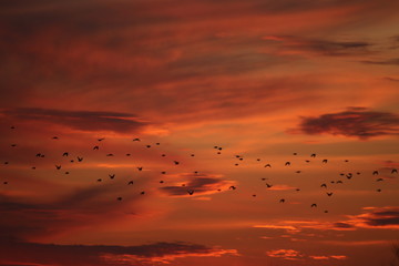 sunset over the sea