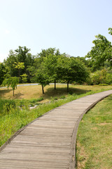 wooden trail and hill in the spring park. 