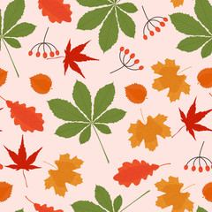 Colorful leaves seamless pattern. Autumn fall. Vector hand drawn illustration