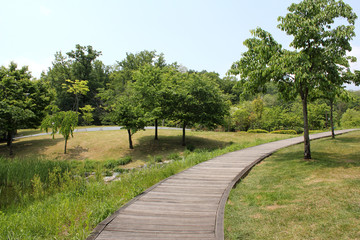 wooden trail and hill in the spring park. 