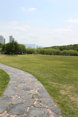 Stone Pathway on green grass. Stone Pathway in the park . 