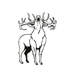Red Deer Cervus Elaphus Roaring Viewed from Front Stencil Black and White Retro