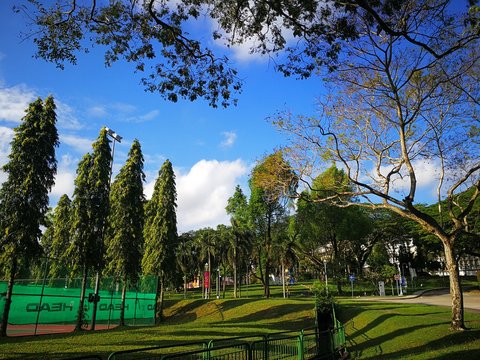 A Beautiful Day