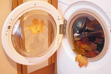 dry maple foliage lie inside Modern washing machine. autumn season. idea, concept of fall.