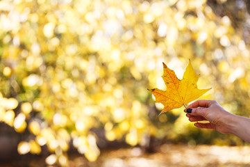 girl holds a yellow leaf