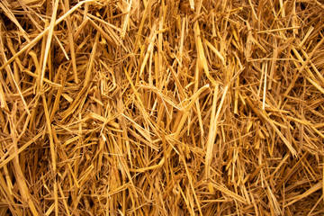 rice straw close up