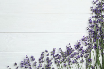 Beautiful fresh lavender flowers on white wooden background, flat lay. Space for text