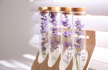 Beautiful lavender flowers near window indoors, closeup. Space for text