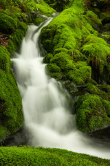 Waterfall of mountain with stones covered with moss. Summer landscape.