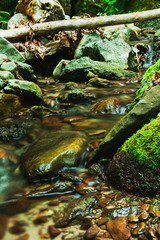 Waterfall of mountain with stones covered with moss. Summer landscape.
