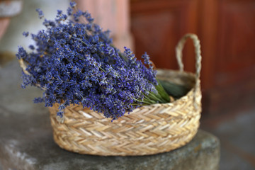 Wicker basket with beautiful lavender flowers outdoors