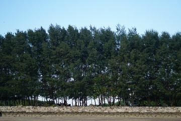 Sanur Beach, Bali - Indonesia