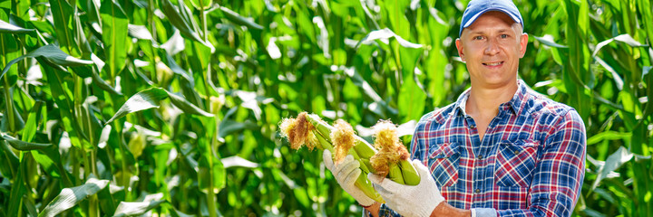 Man farmer with a crop of corn.