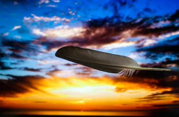 Obraz na płótnie Canvas a grey feather in golden hour sunset background