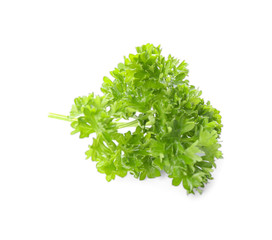 Fresh green curly parsley on white background