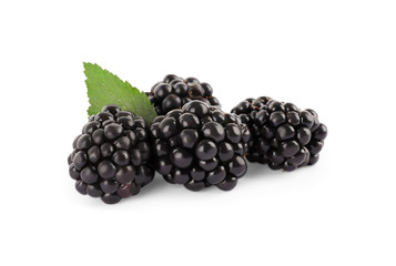 Tasty ripe blackberries and leaf on white background