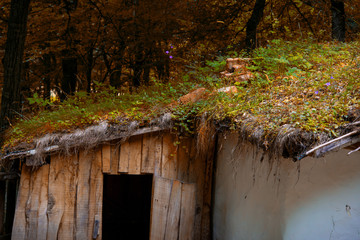 traditional wooden and clay house with thatched roof and wood