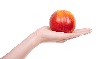 Hand with fresh raw peach fruit, isolated on white background.