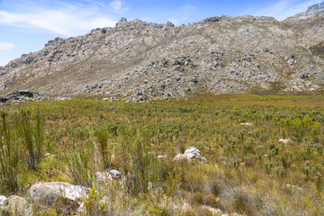 Fototapeta na wymiar Beautiful landscape in the Mountains of Ceres, Western Cape, South Africa