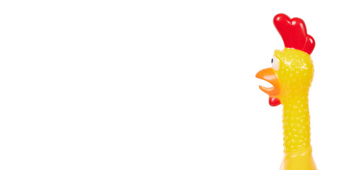 Funny rubber toy of chicken, screaming opened mouth. Isolated on white background, copy space template, banner.