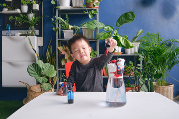 Cute little happy smiling Asian boy child having fun making easy science experiment 