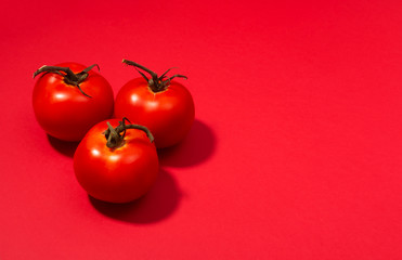 Group of fresh tomatoes presented on red background
