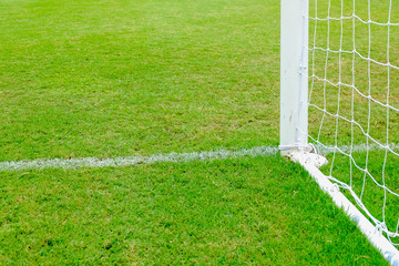 Goal net with green grass field.