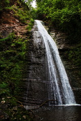 waterfall in the forest