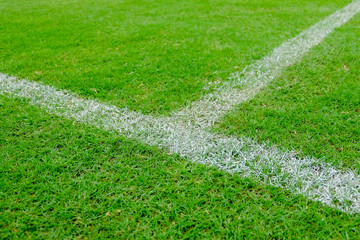 White stripe on the green football field.