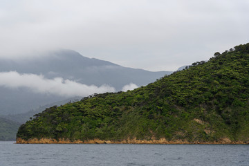 Naklejka premium A foggy day in the Marlborough Sounds, in the South Island of New Zealand