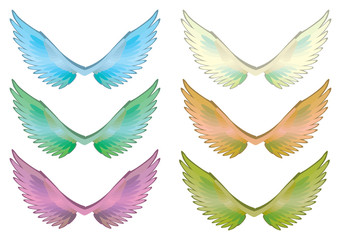 Colorful Wings Set Vector