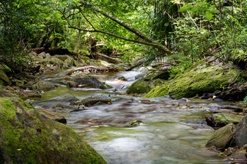 Ship Cove Waterfall Walk in the Marlborough Sounds