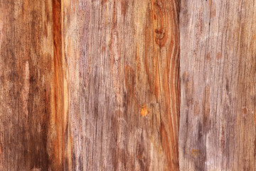 A wood background as a Close up.