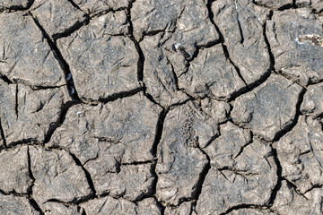 Cracked soil texture