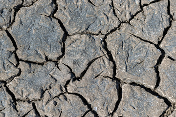 Cracked soil texture