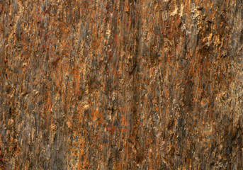 Close-up wood wall