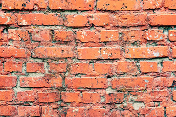 Obraz premium Weathered texture of stained old dark white and orange brick wall background
