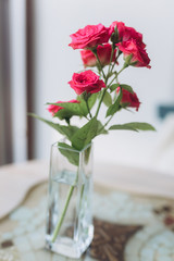 Tender rose flower in vase