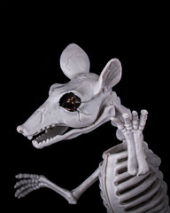Scary Halloween decor with rat skeleton on black