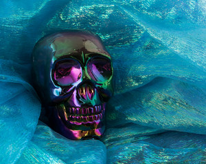 Isolated colourful iridescent rainbow skull on  background with copy space