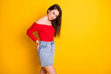 Profile side view portrait of her she nice-looking attractive charming lovely lovable flirty...