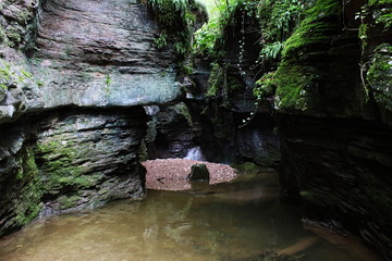 small waterfall in the forest