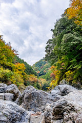 【東京都 奥多摩】鳩ノ巣渓谷の紅葉