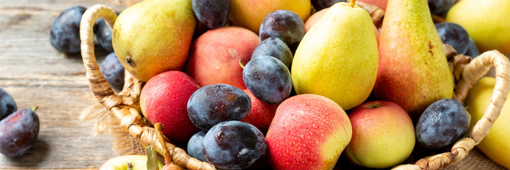 Assortment of fruits in a basket on the table. There are a lot of different raw fruits in the basket. Plums, peaches, apples and pears on the table. Healthy food concept. Banner	