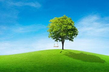 Wooden swing hang on green tree with grass meadow field and blue sky in background.