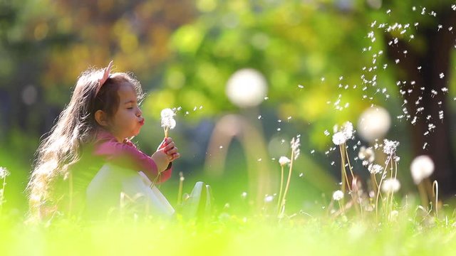 Little beautiful girl play outdoor and blowing dandelion