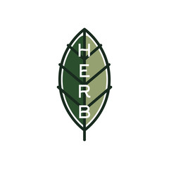 Obraz premium Green stylized plant leaf with herb lettering inside, isolated color vector illustration