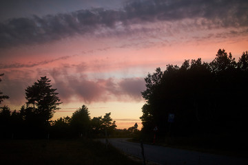 A silhouette of the forest in the sunset